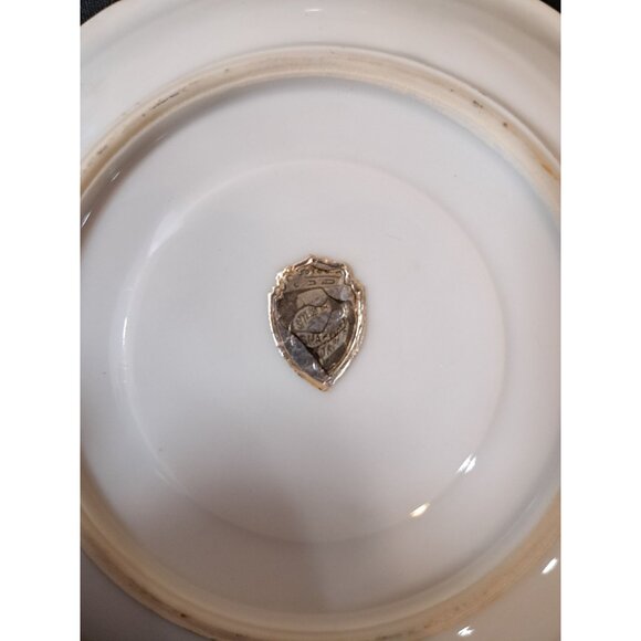 Vintage  Shafford Japan Porcelain Tea Cup & Saucer Fruit  Pinapple Black & Gold - Picture 10 of 11